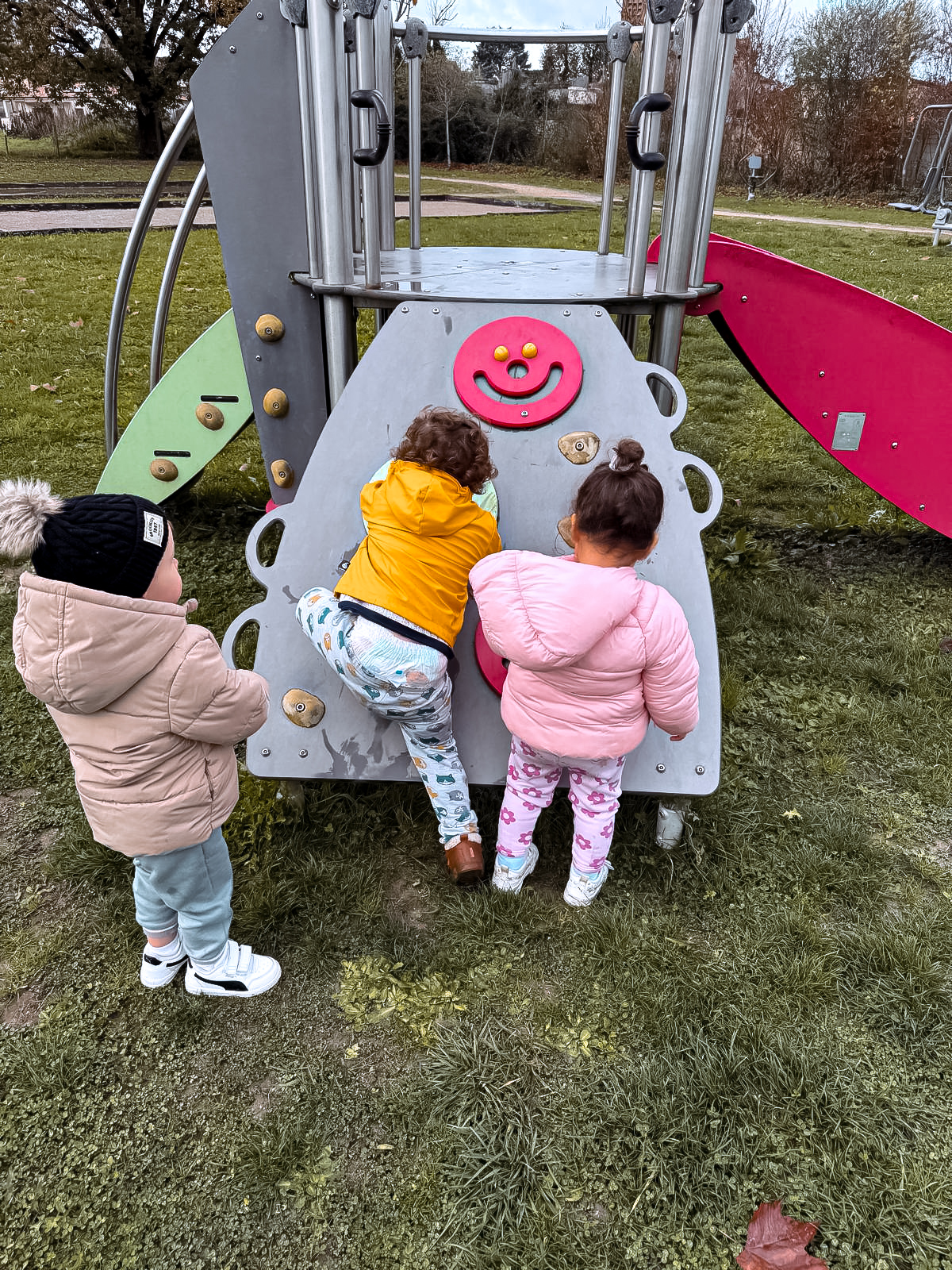 d9819c70-d50e-43d0-b229-019d391945dc